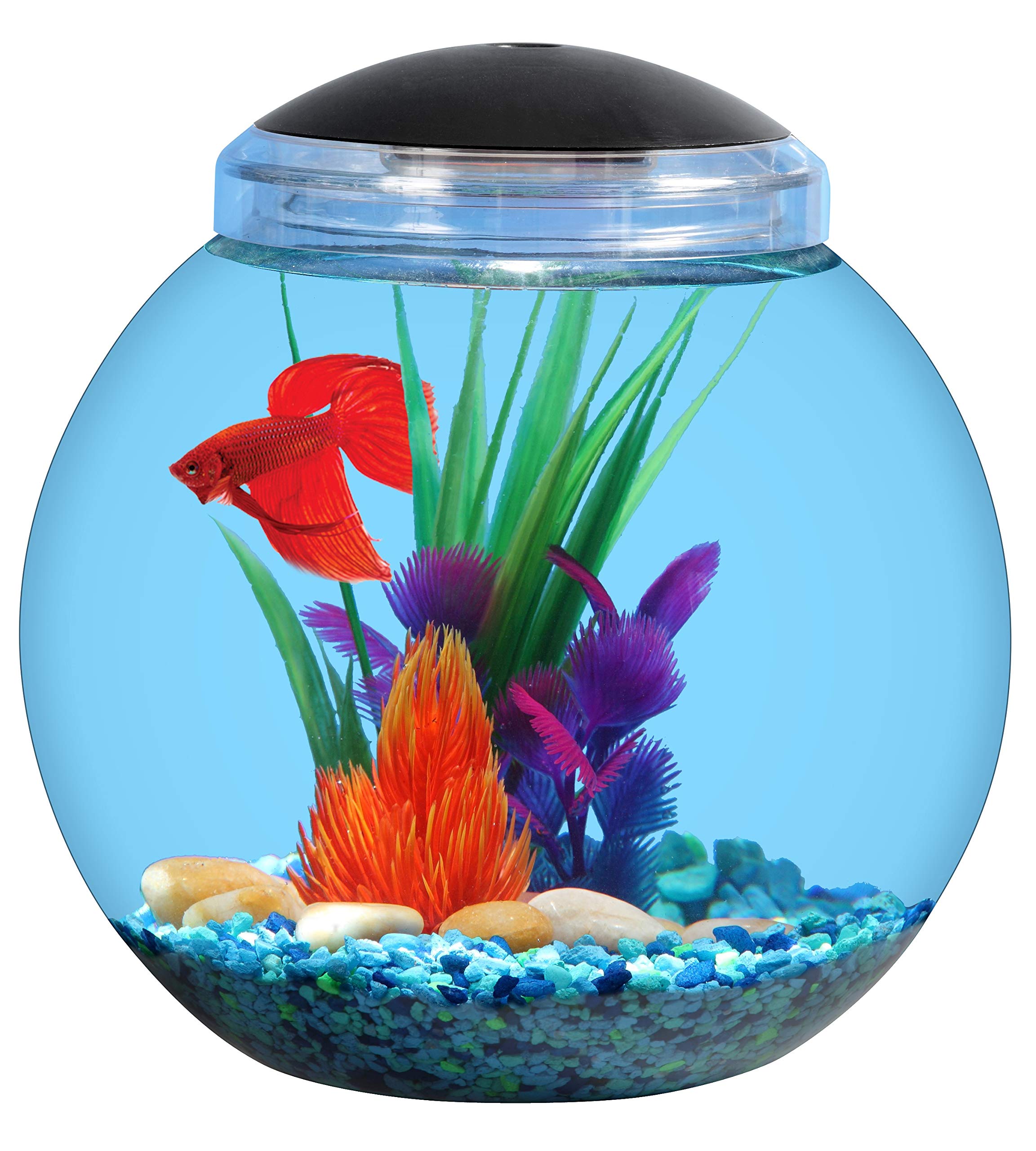 Koller Products: 2-Gallon Bowl with LED Lighting (7 Color Selections)