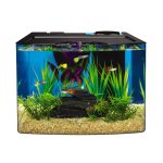 Tetra Crescent STEM Aquarium Kit: 3 Gallons, Curved-Front Tank with LEDs and STEM Guide.