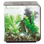 biOrb Flow 30 Acrylic 8-Gallon Aquarium with White LED Lights