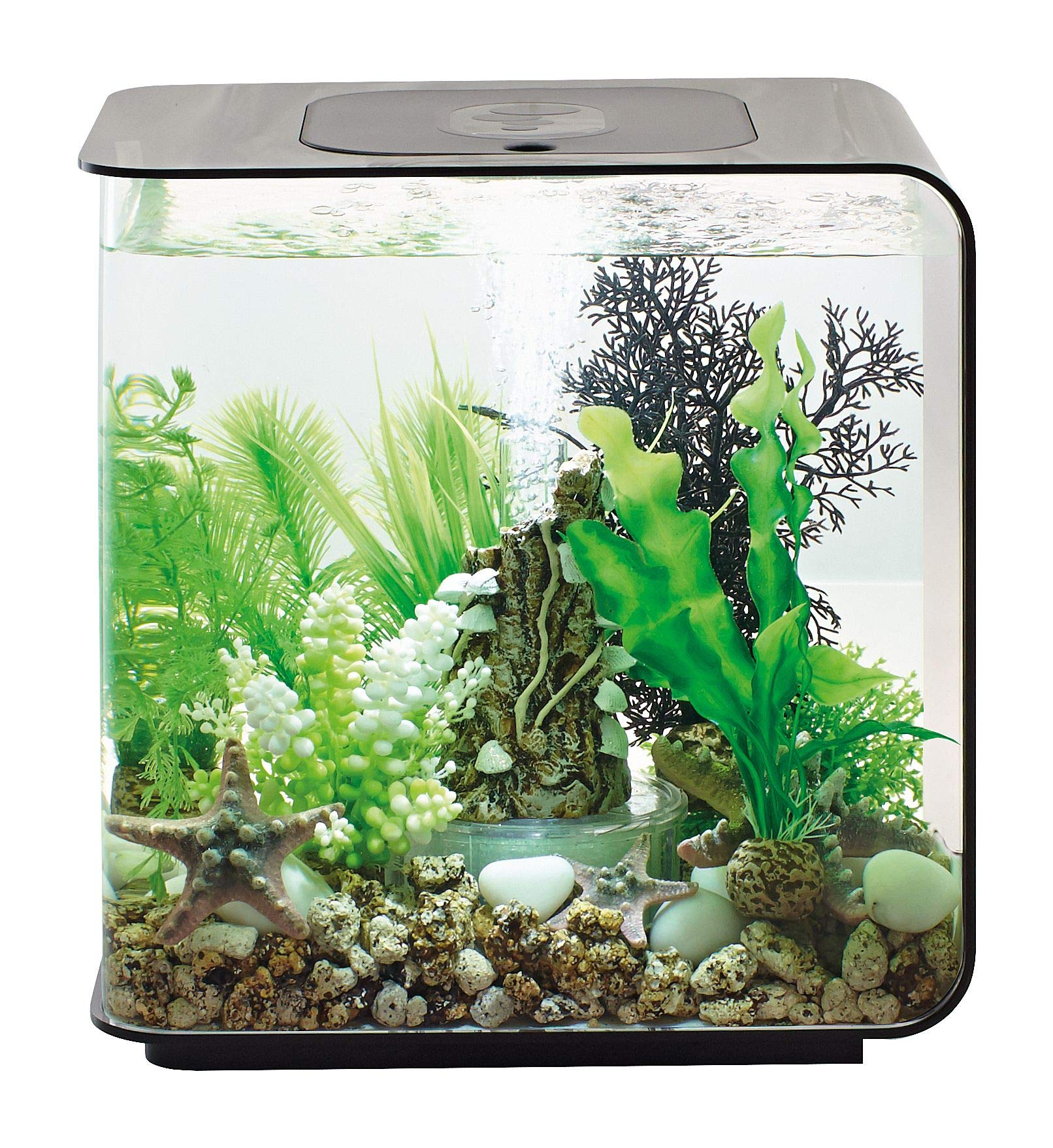 biOrb Flow 30 Acrylic 8-Gallon Aquarium with White LED Lights