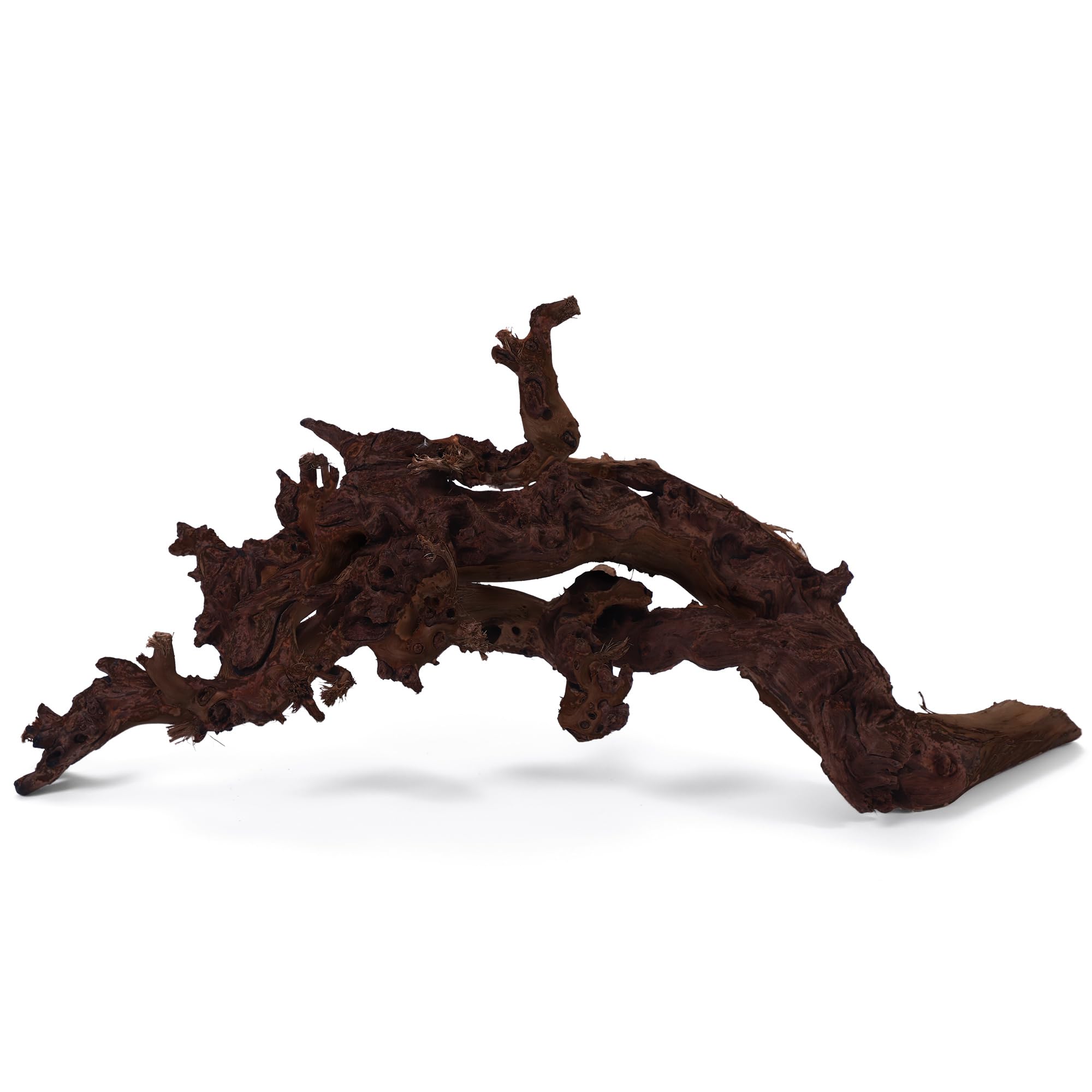 FISCAPE 6-8" Natural Driftwood for Aquariums and Reptile Tanks