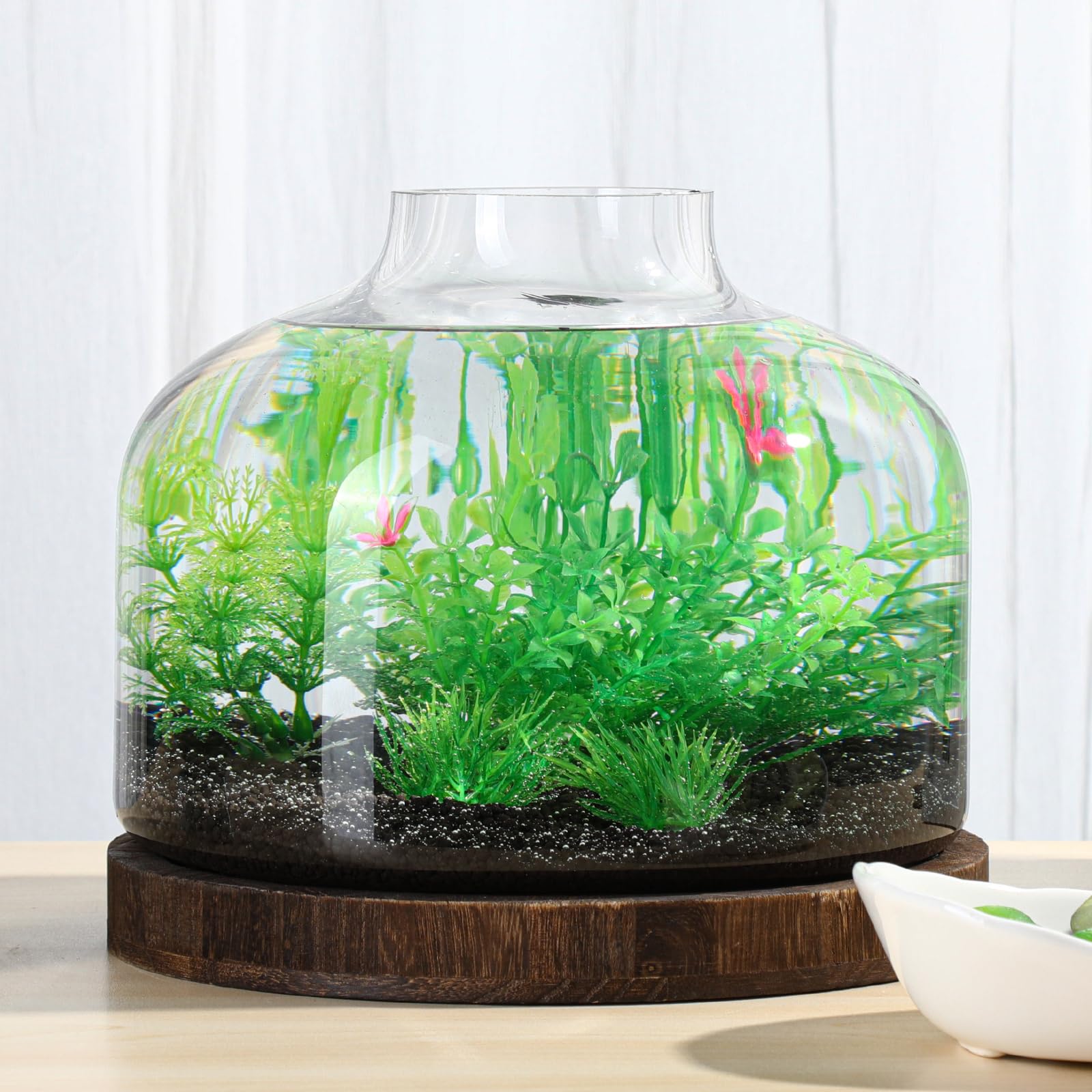 PONDON Glass Fish Bowl Vase Kit with Wooden Base and Water Changer