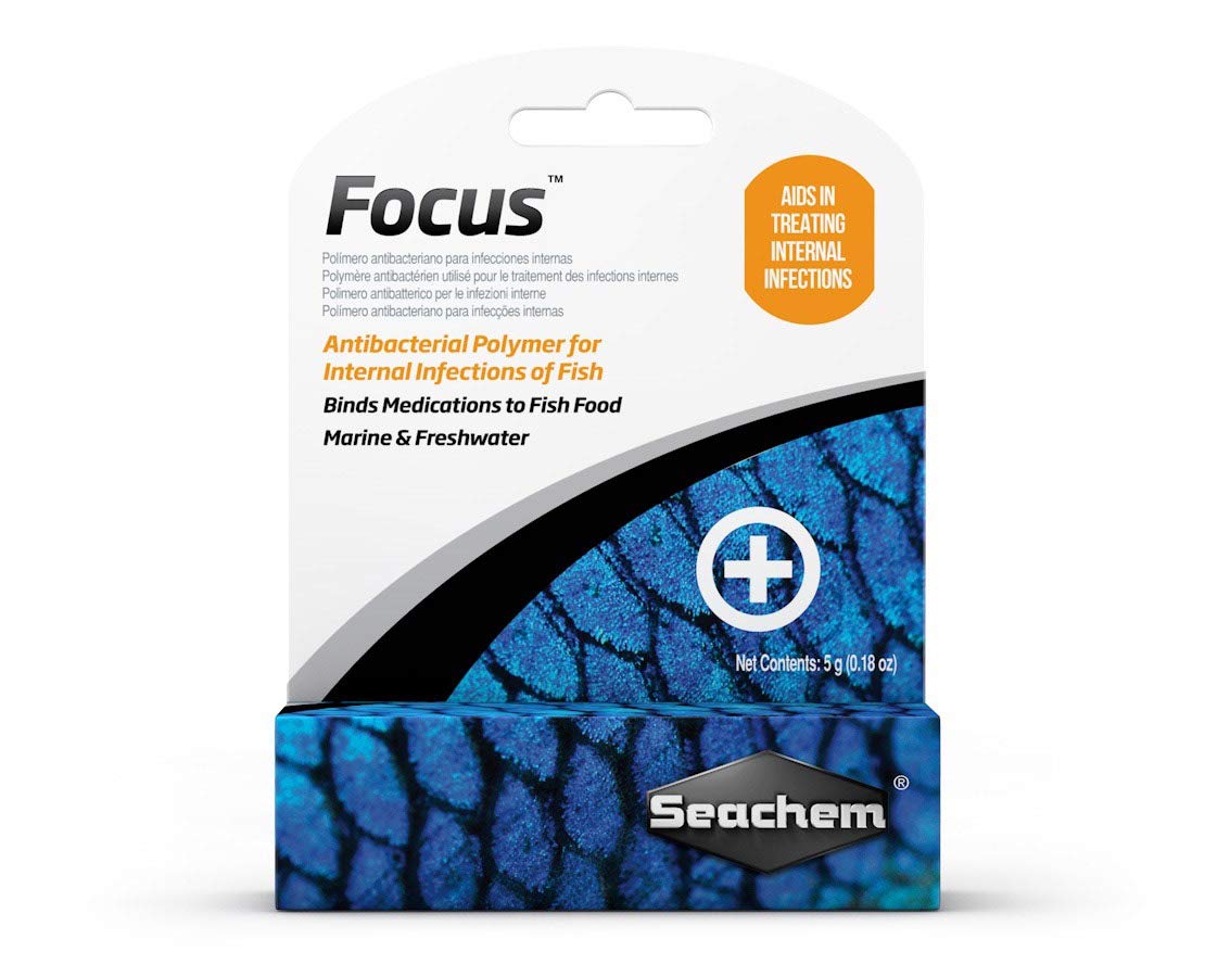 Seachem Focus Medication: 5 Grams for Freshwater and Marine Fish.