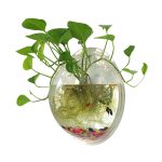 Sweetsea Wall-Mounted 1 Gallon Fish Tank Bowl Aquarium Decor