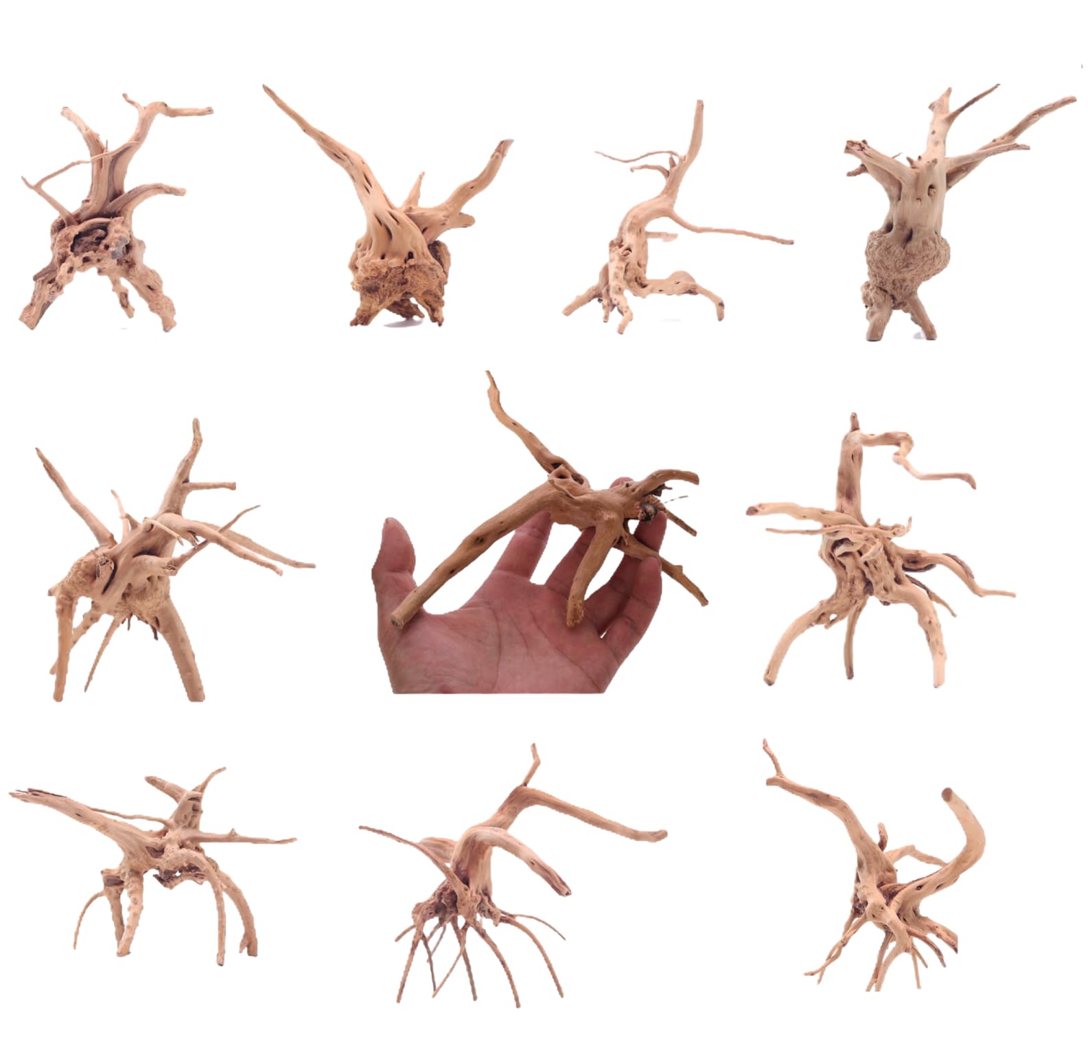 YZHZOM: 10pcs Natural Spiderwood for Aquarium Decor