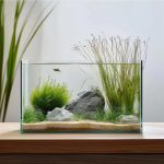 Vimvins: 3 Gallon Glass Aquarium for Betta, Goldfish, and Plants