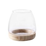 Fofetbfo Glass Hydroponic Terrarium and Betta Fish Bowl Aquarium