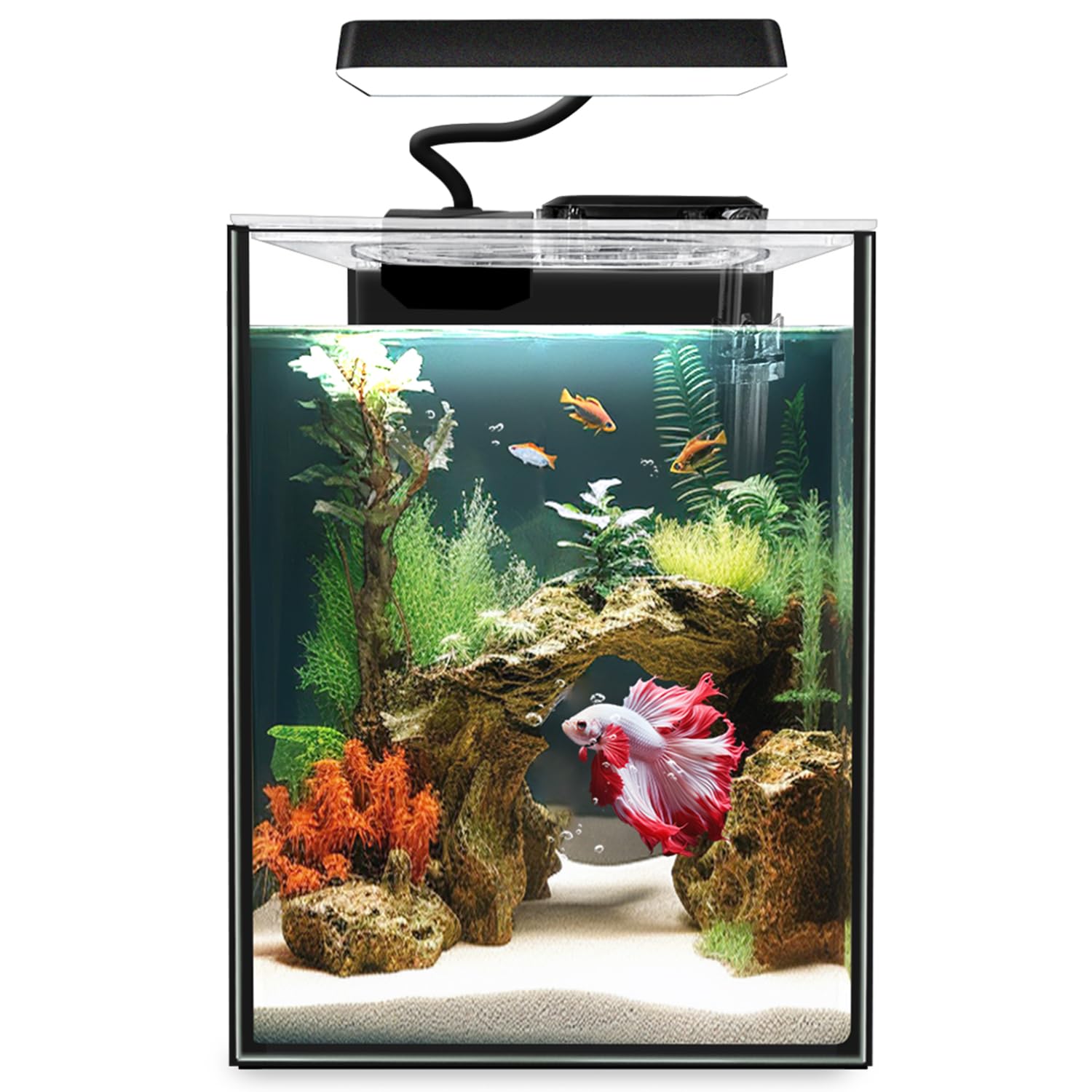 iPriro 1.5 Gallon Betta Aquarium Kit with LED Light and Filter