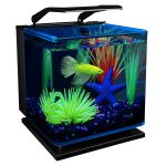 GloFish Betta Shadowbox Aquarium Kit for Vibrant Aquatic Display