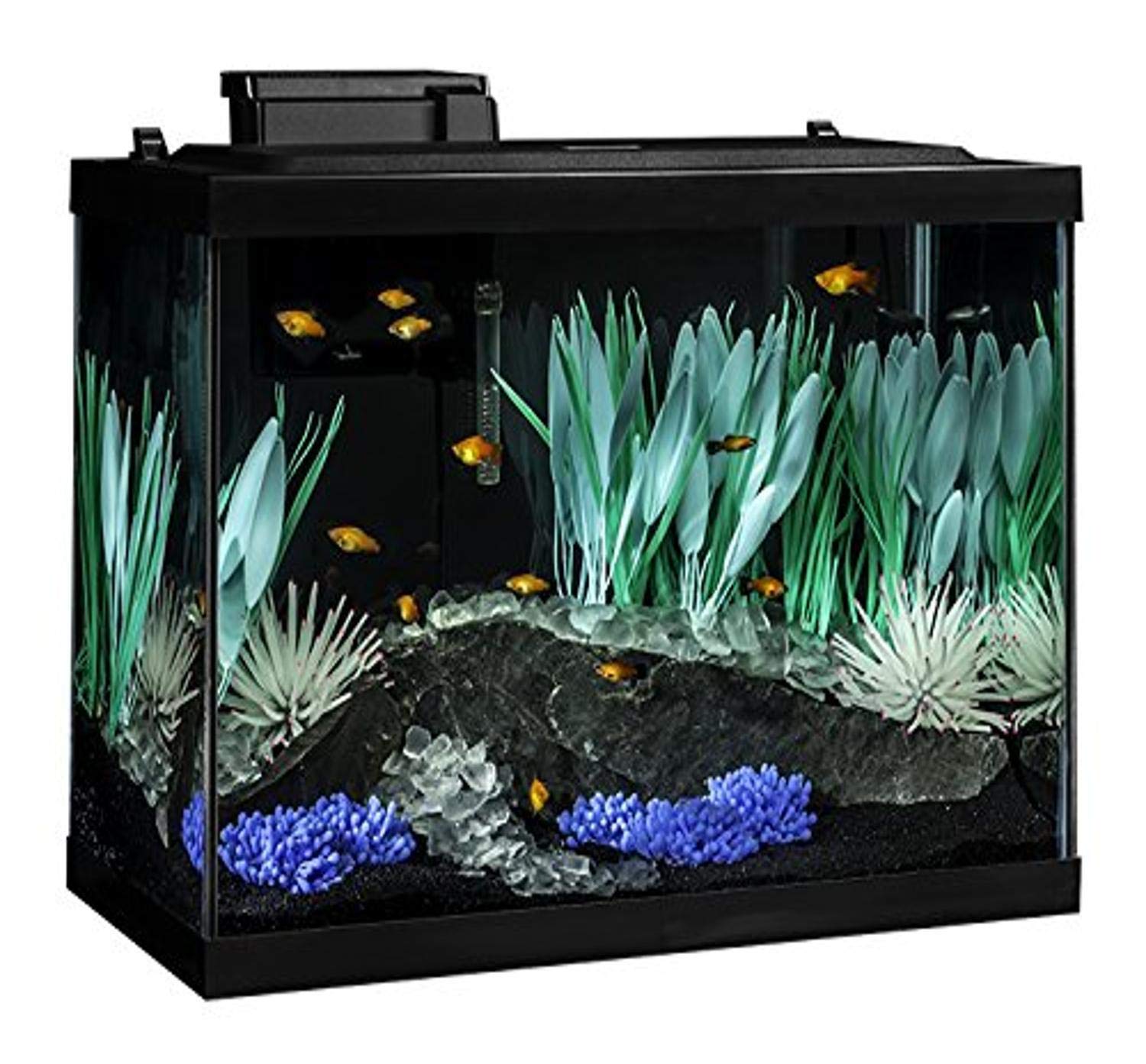 Tetra ColorFusion 20 Gallon Fish Tank Kit with LED Lighting