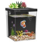 ERAARK 1.5 Gallon Betta Fish Tank Kit with Filter and Light