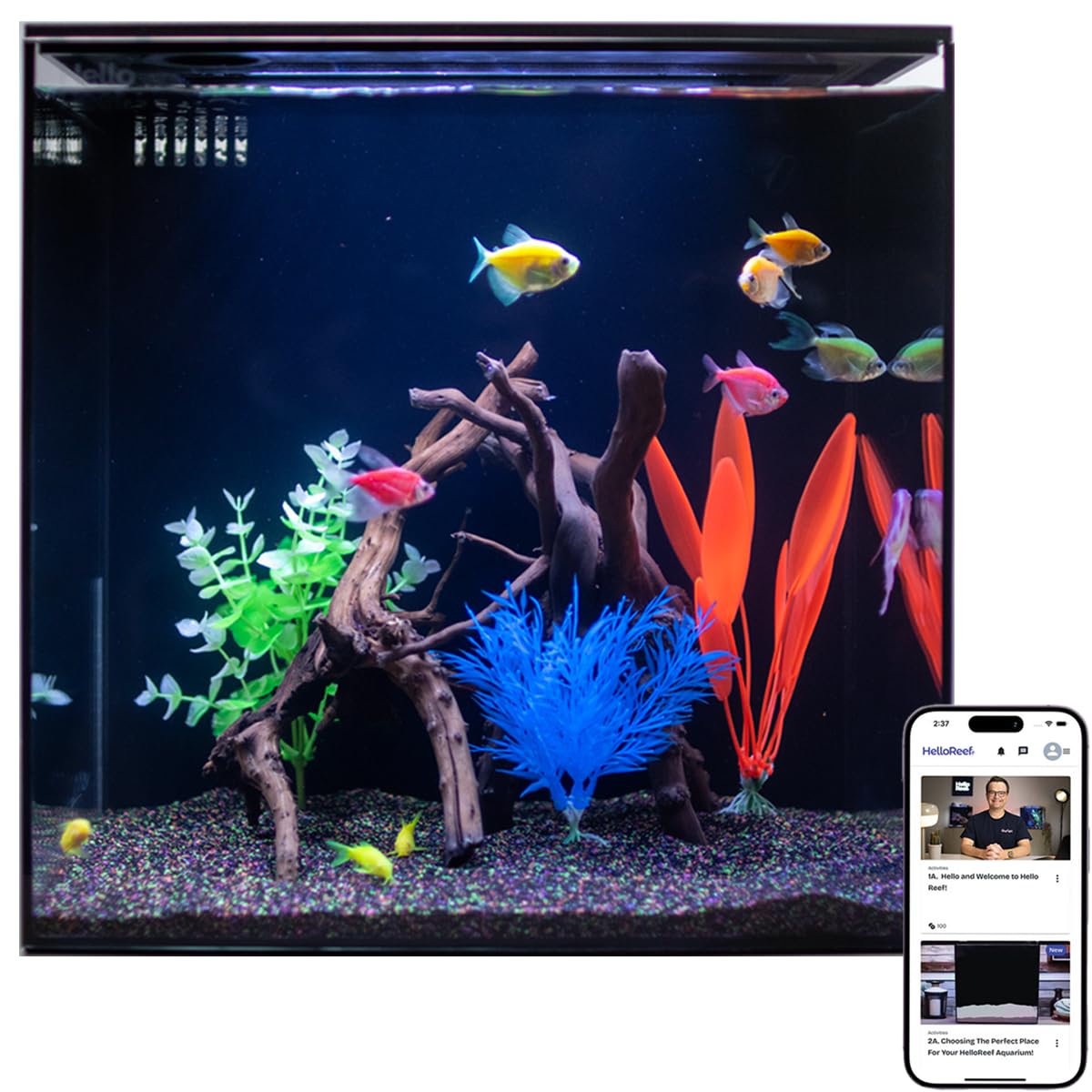 HelloReef 15 Gallon Glofish Aquarium Kit with Smart LED Lighting