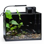 NICREW 2.5 Gallon Nano Nature Aquarium Kit with Complete Accessories