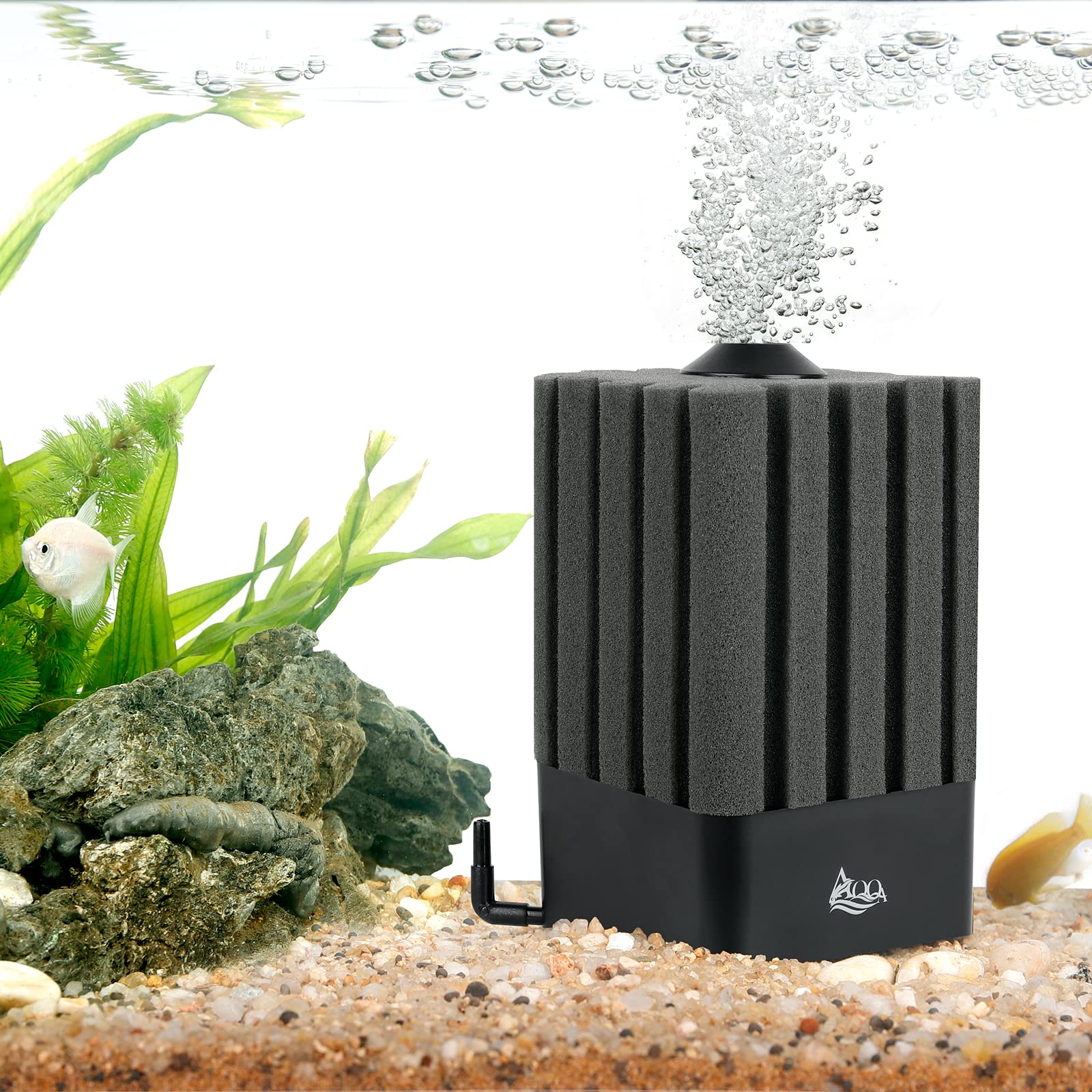 AQQA Ultra Quiet Sponge Filter for 5-20 Gallon Tanks