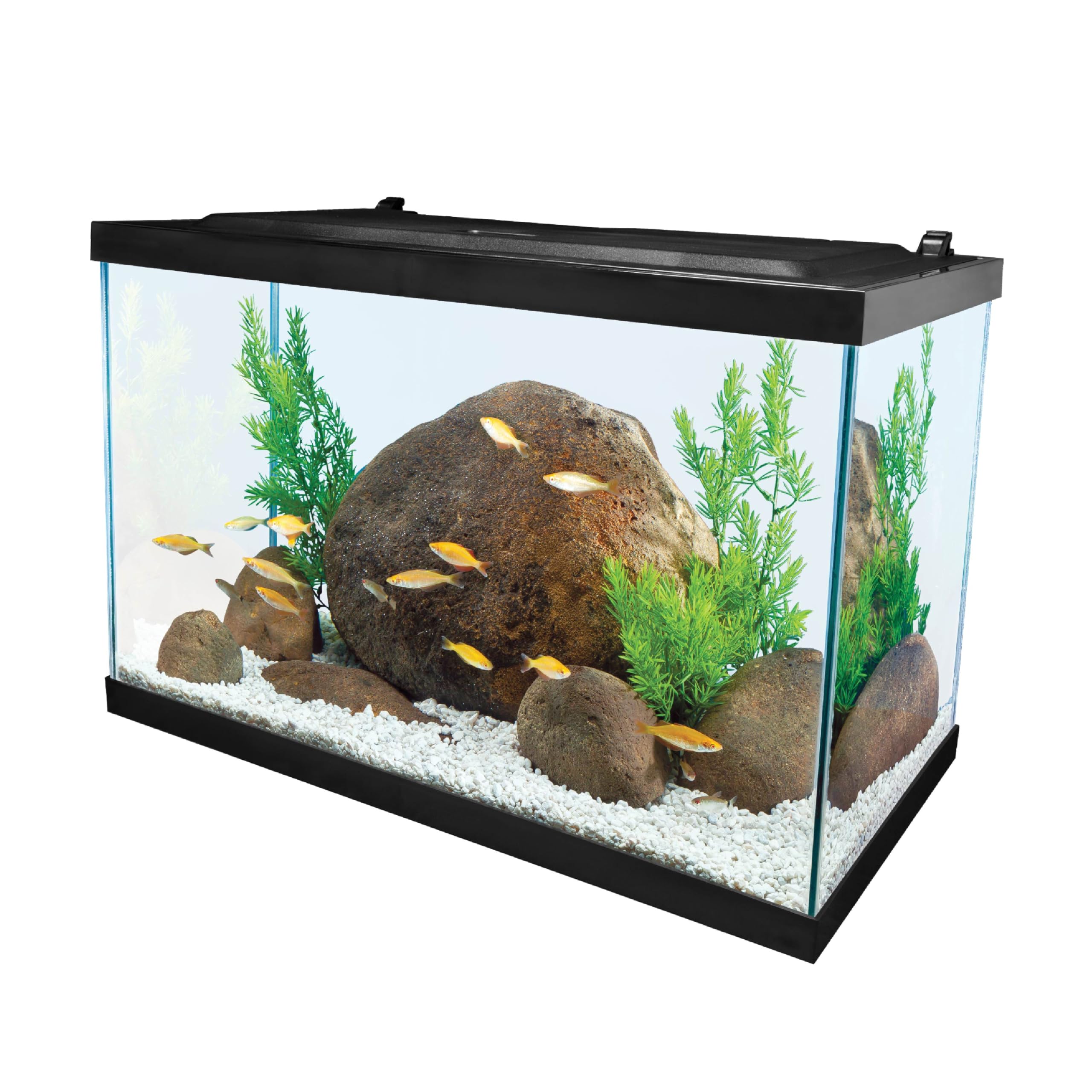 Tetra 20 Gallon Complete Tropical Fish Tank Kit with LED Lighting